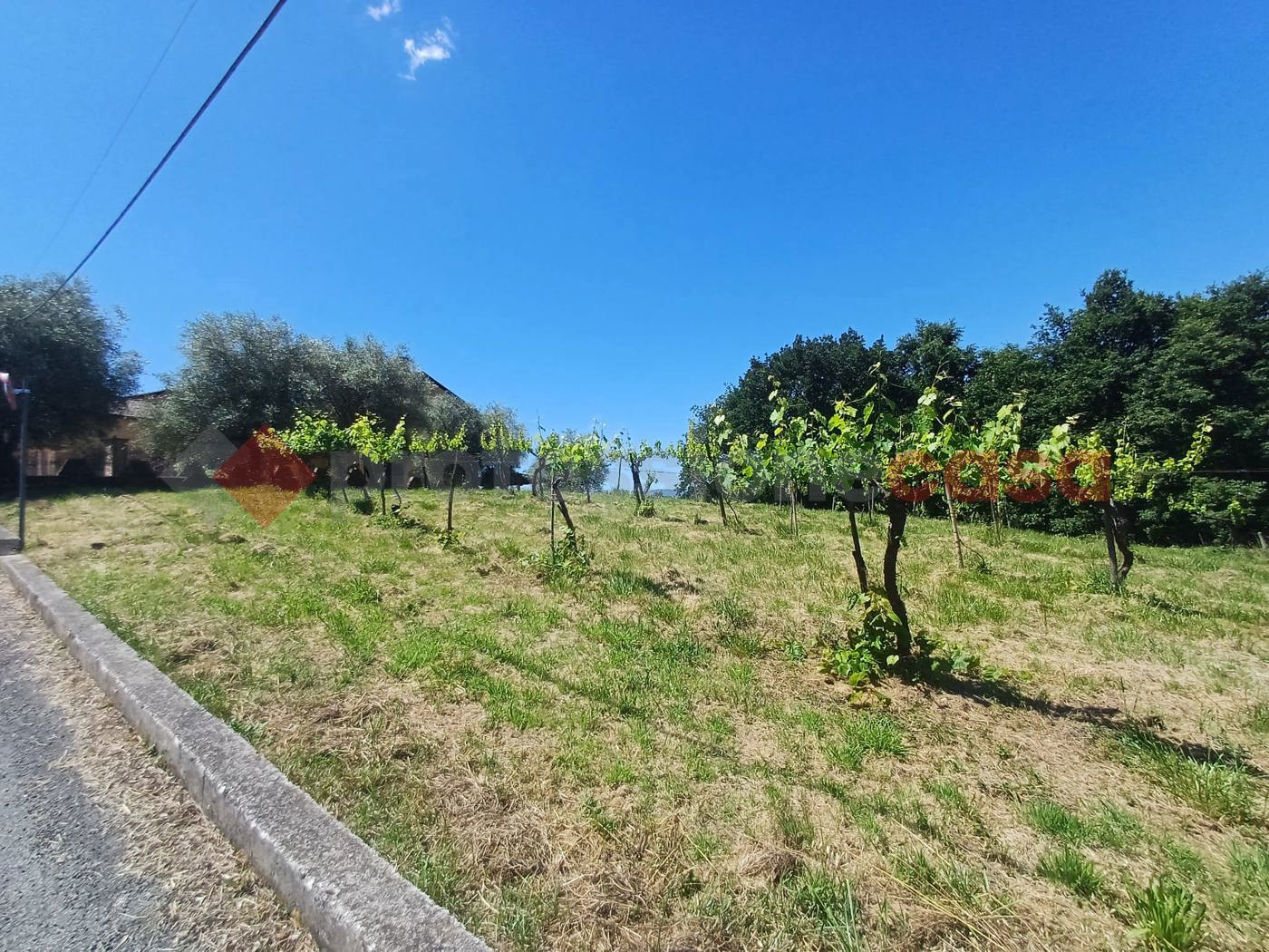 Terreno Edificabile in vendita a Strangolagalli