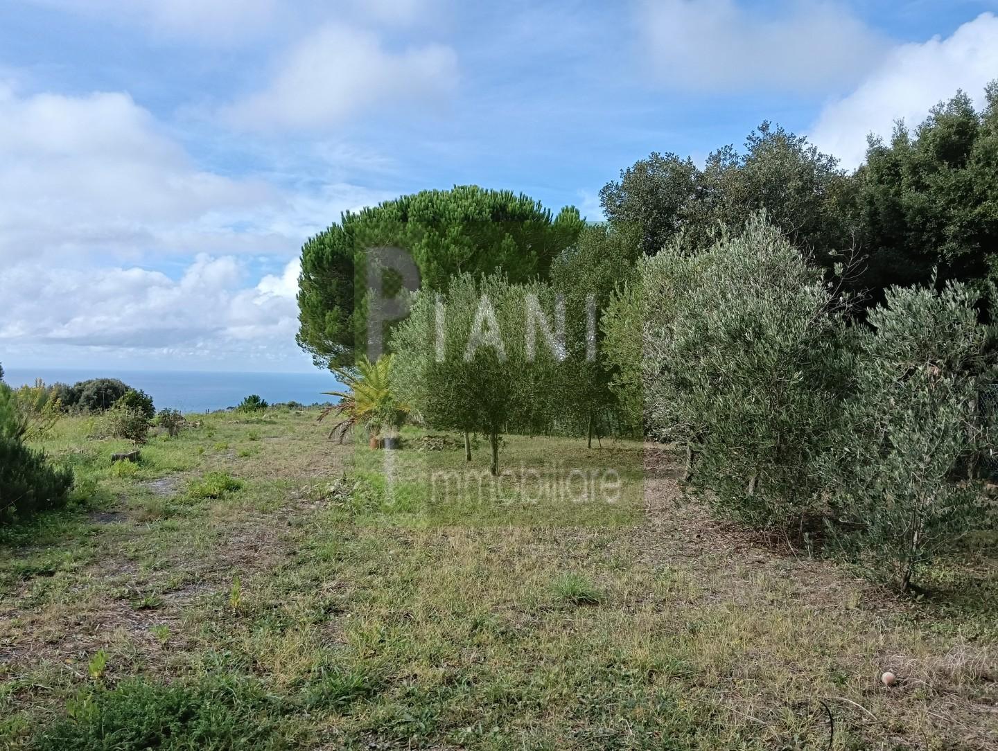 Terreno Agricolo vista mare, Livorno castellaccio
