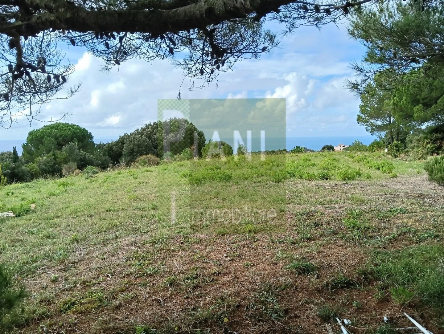 Terreno Agricolo vista mare, Livorno castellaccio