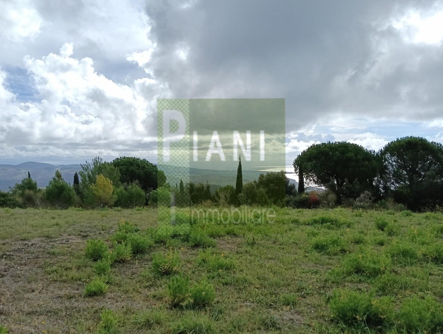 Terreno Agricolo vista mare, Livorno castellaccio