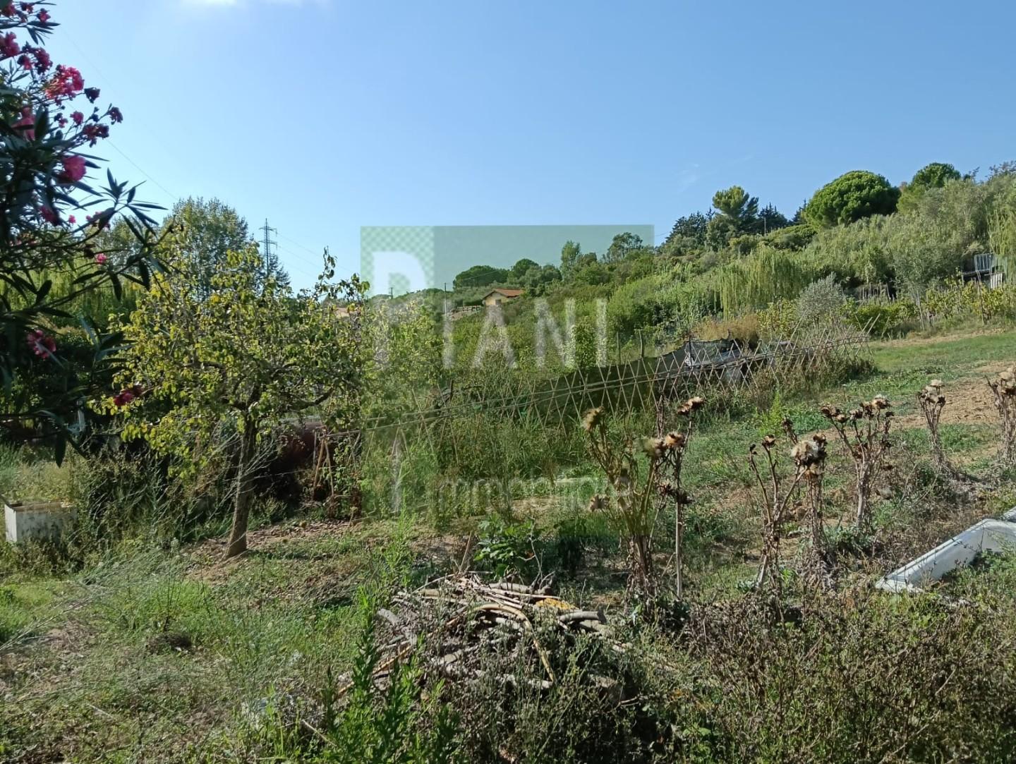 Terreno Agricolo in vendita, Livorno limoncino