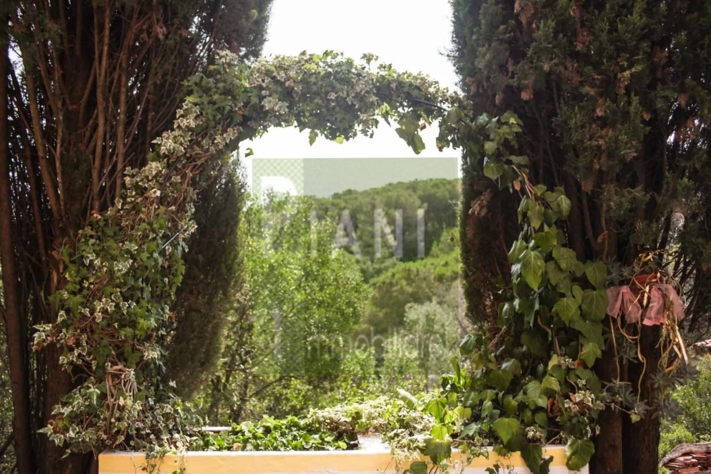 Villa con giardino, Rosignano Marittimo gabbro
