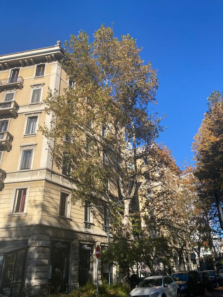 Trilocale arredato in affitto a Milano