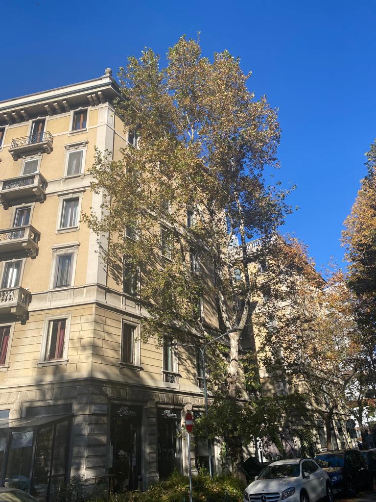 Trilocale arredato in affitto a Milano