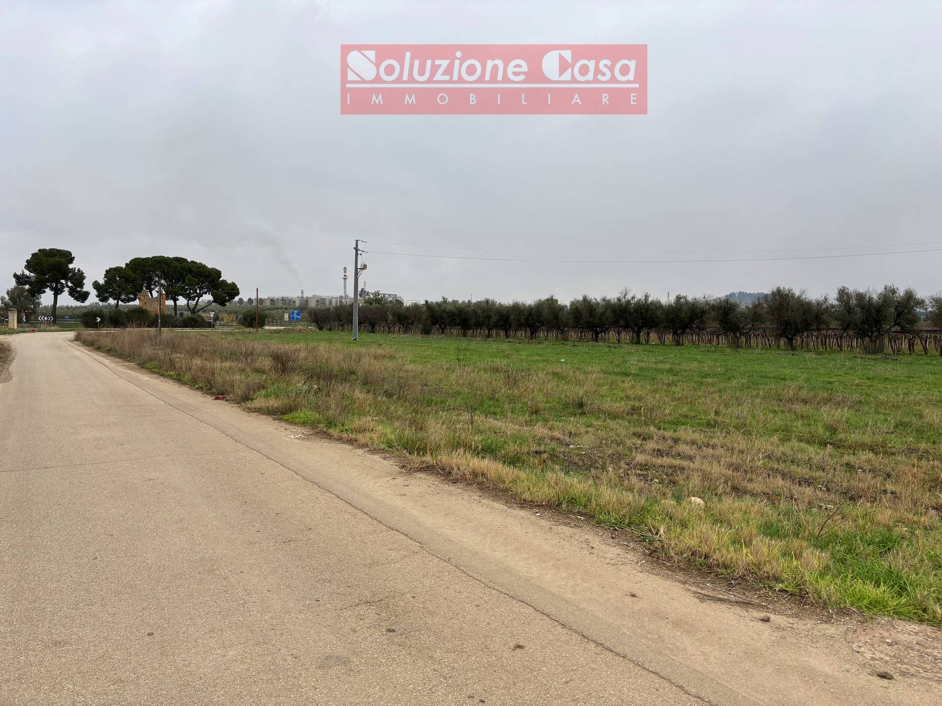 immagine annuncio 1 di 6
