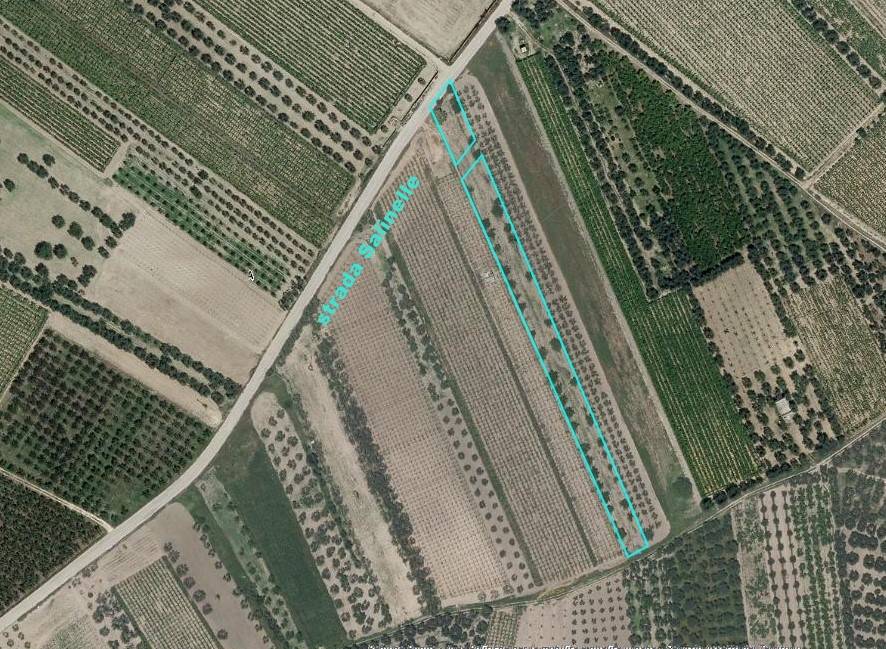 Terreno Agricolo in vendita a Canosa di Puglia