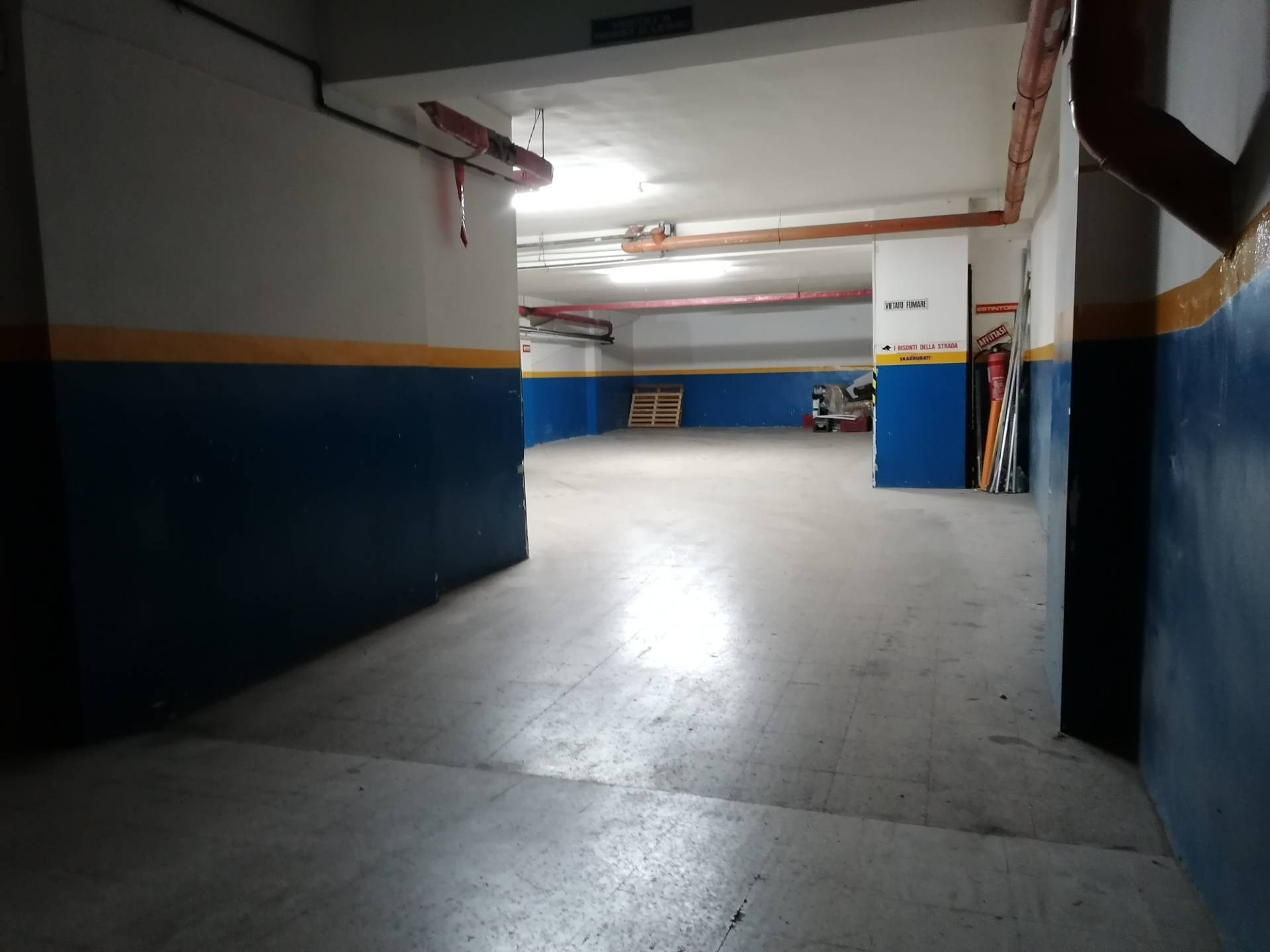immagine annuncio 2 di 6