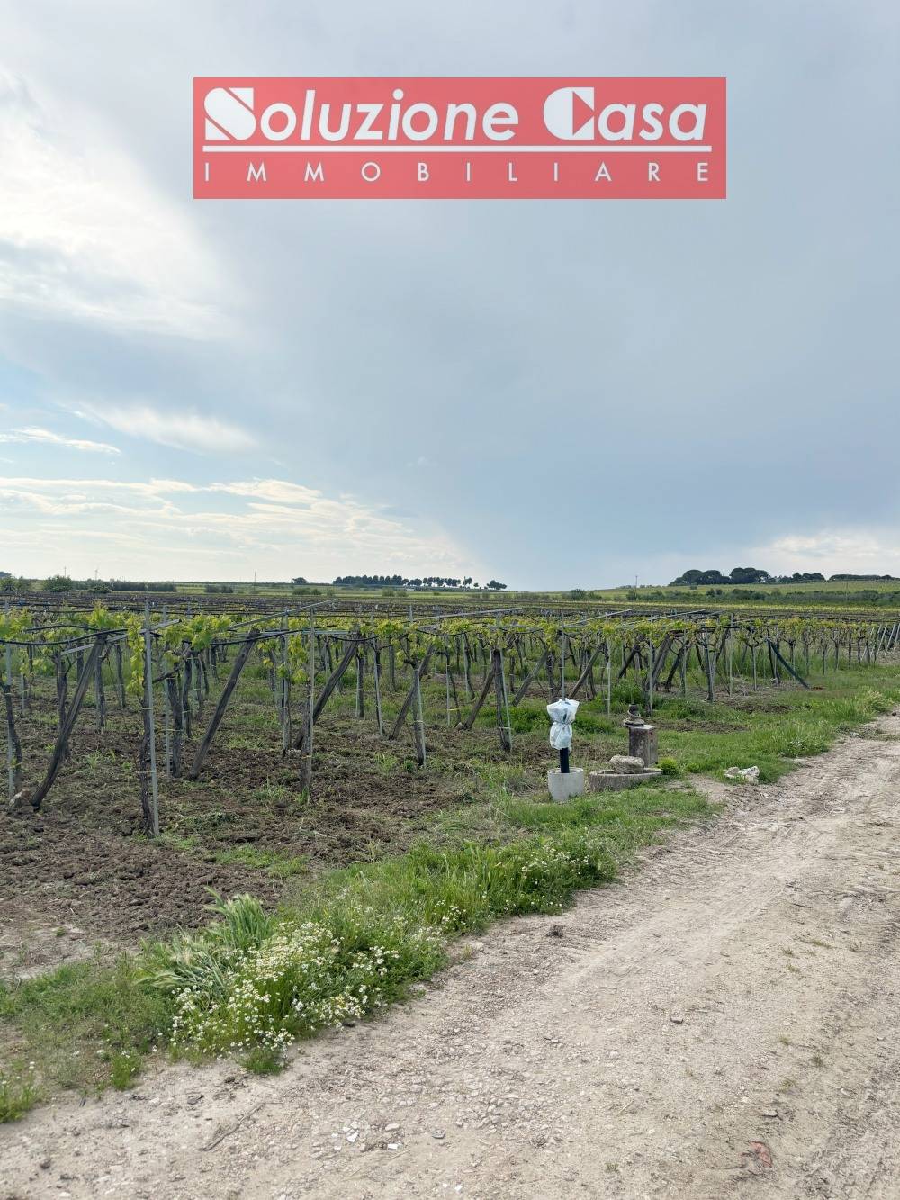 Terreno Agricolo in vendita a Cerignola