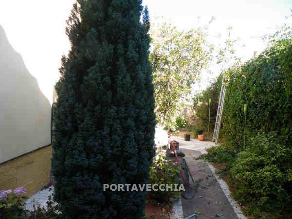 Appartamento con giardino a Grosseto