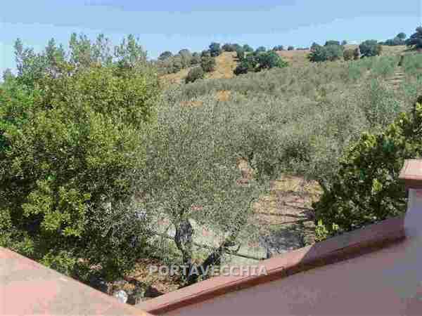 Casa indipendente con giardino a Magliano in Toscana