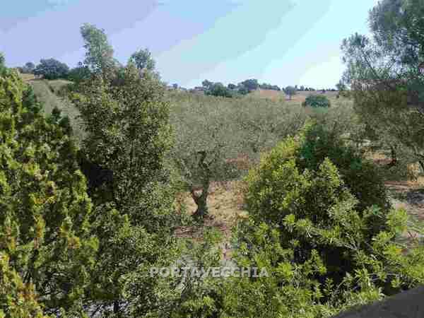 Casa indipendente con giardino a Magliano in Toscana