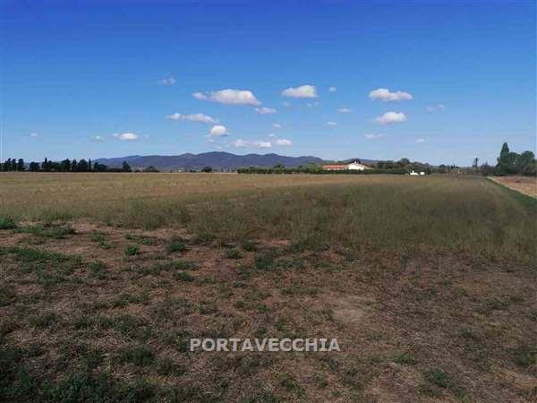 Terreno in vendita a Grosseto