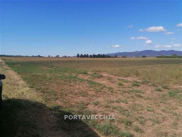Terreno in vendita a Grosseto