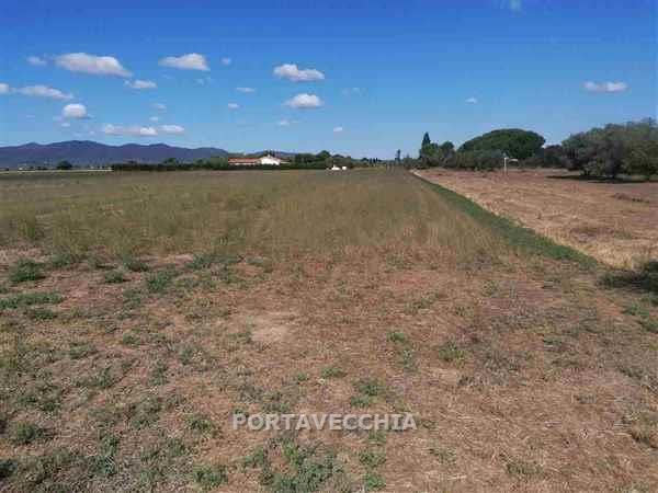 Terreno in vendita a Grosseto