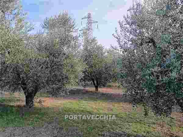 Terreno in vendita a Grosseto