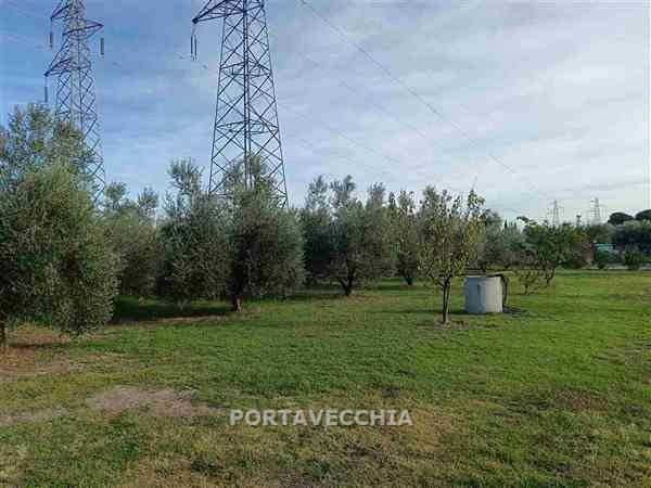 Terreno in vendita a Grosseto