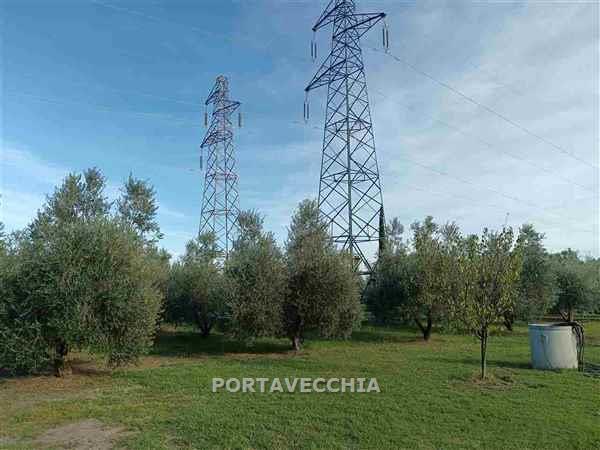 Terreno in vendita a Grosseto