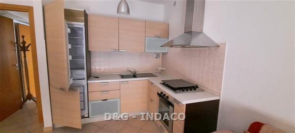 Bilocale in affitto a Grosseto