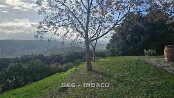 Attivit� commerciale con terrazzo a Roccastrada