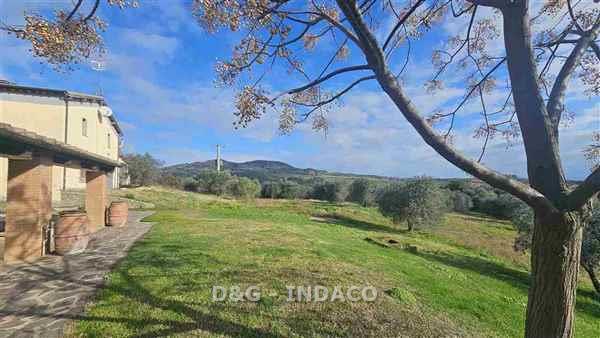 Attivit� commerciale con terrazzo a Roccastrada