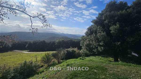 Attivit� commerciale con terrazzo a Roccastrada