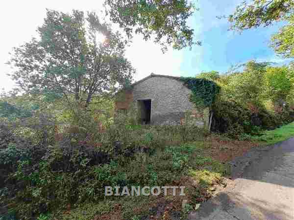 Attivit� commerciale in vendita a Scansano