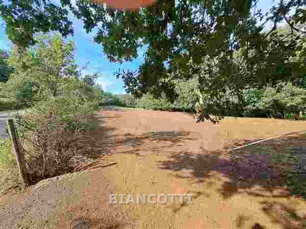 Attivit� commerciale in vendita a Scansano