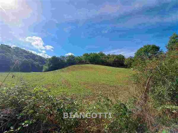 Attivit� commerciale in vendita a Scansano