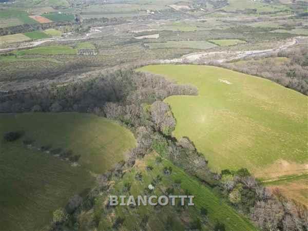 Terreno in vendita a Scansano