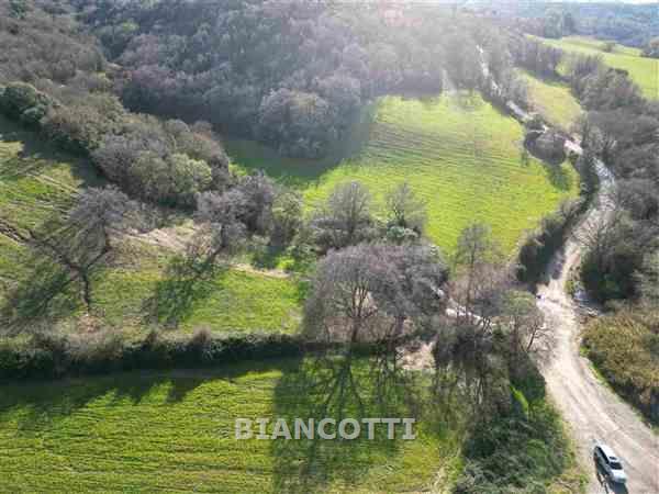 Terreno in vendita a Scansano