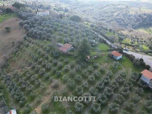 Terreno in vendita a Scansano