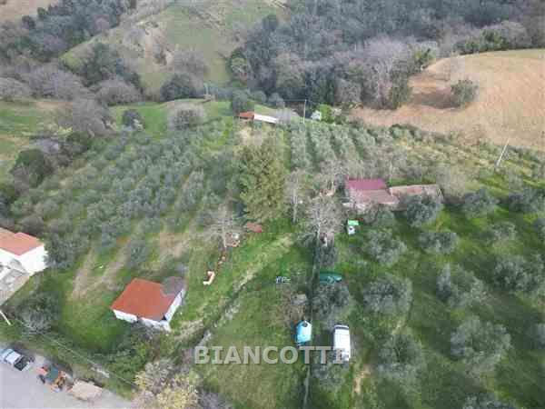 Terreno in vendita a Scansano