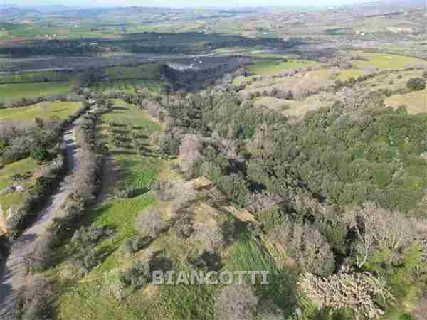 Terreno in vendita a Scansano