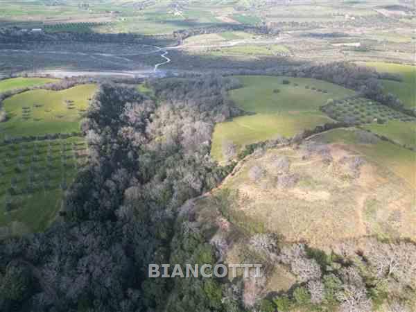 Terreno in vendita a Scansano