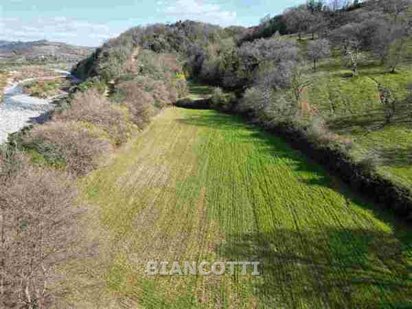 Terreno in vendita a Scansano