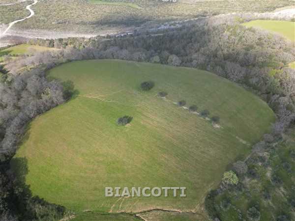 Terreno in vendita a Scansano