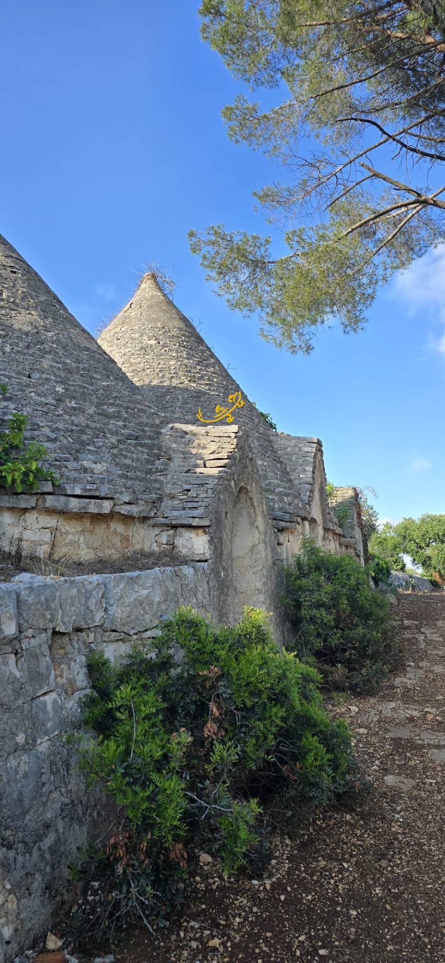 Trullo in vendita a Polignano a Mare