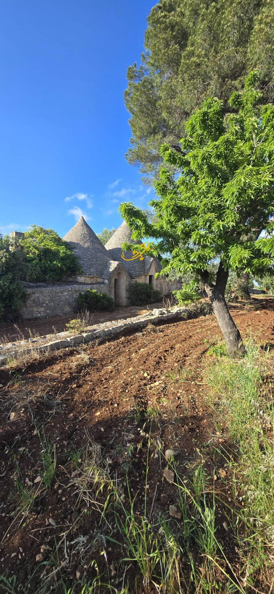 Trullo in vendita a Polignano a Mare