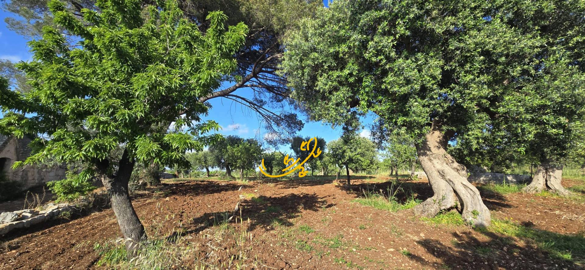 Trullo in vendita a Polignano a Mare