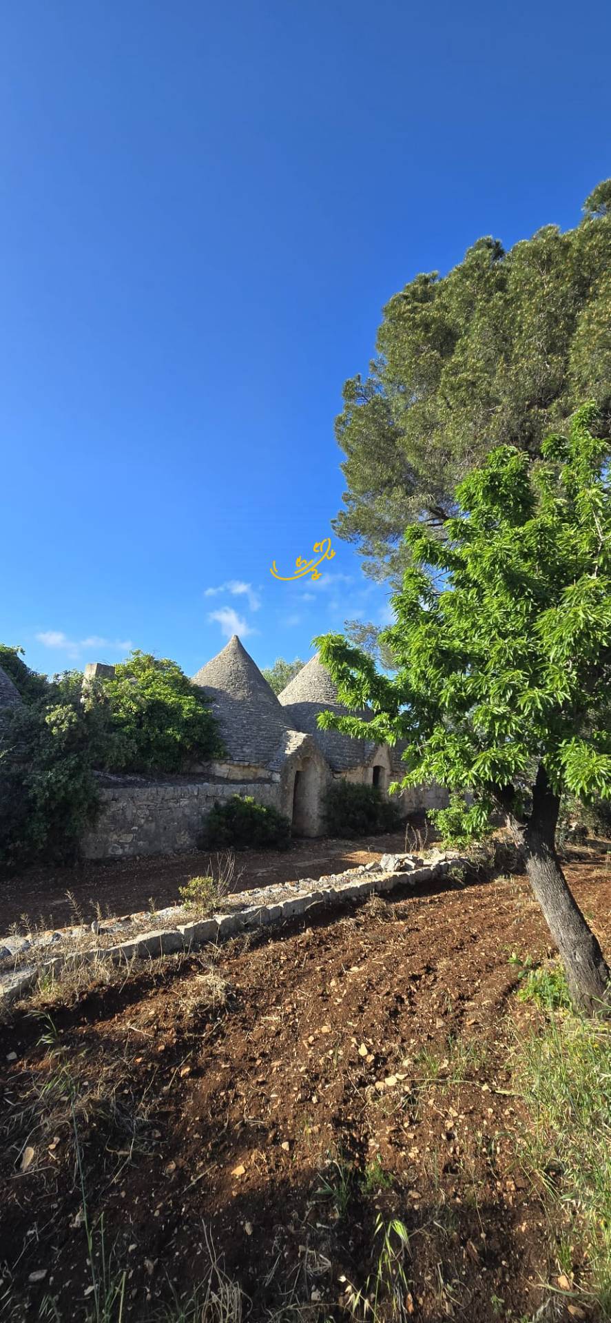 Trullo in vendita a Polignano a Mare