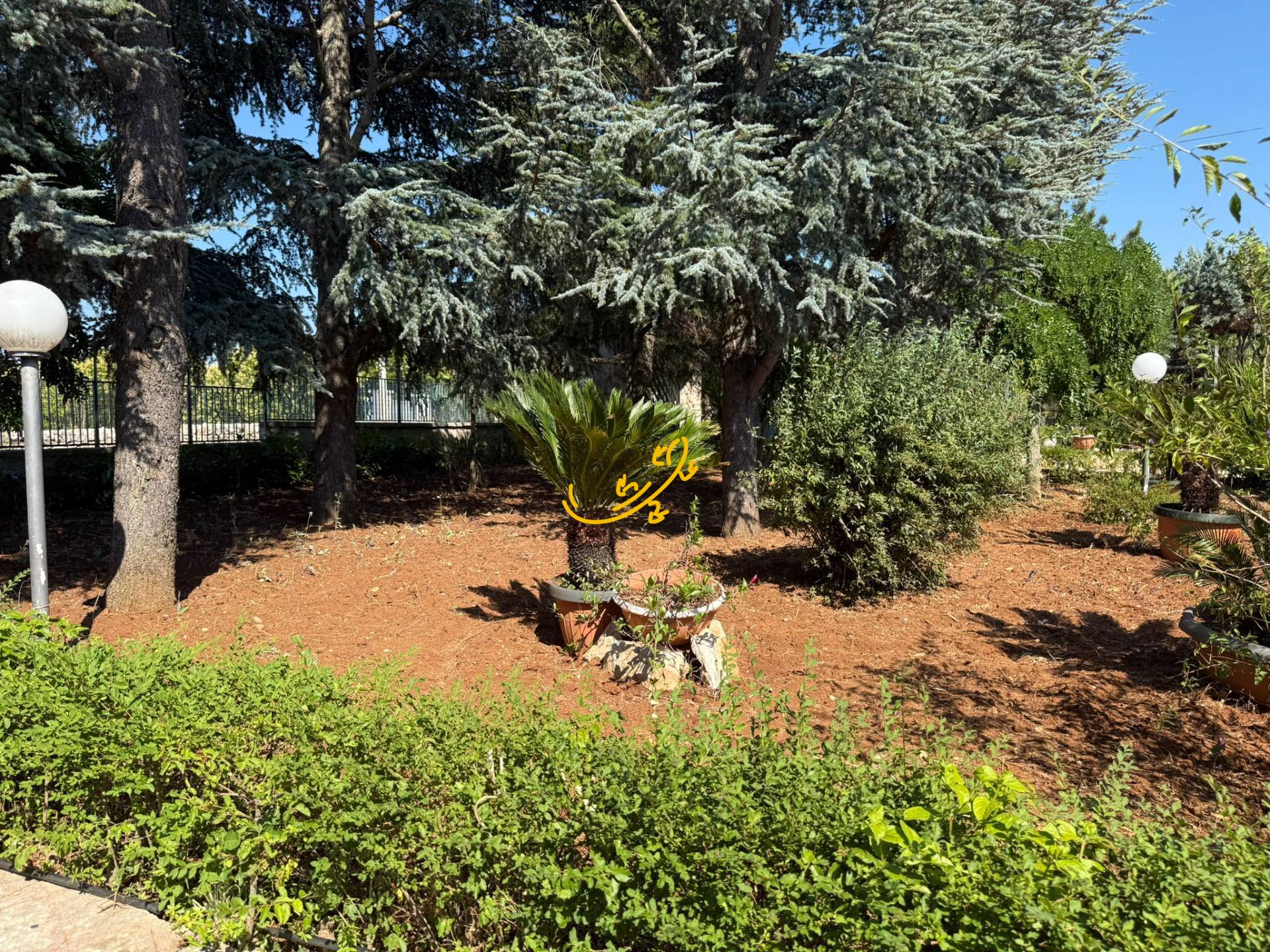 Villa in vendita a Fasano