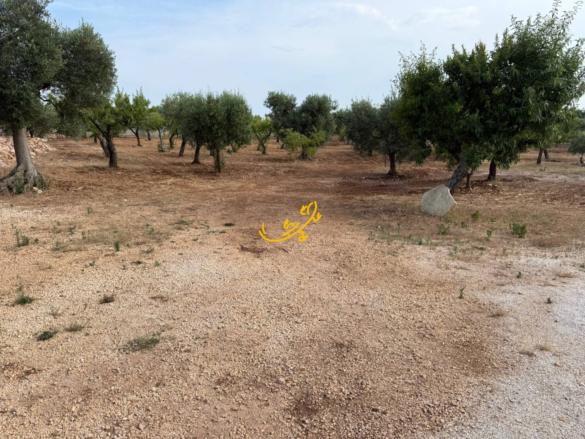 Trullo in vendita a Castellana Grotte