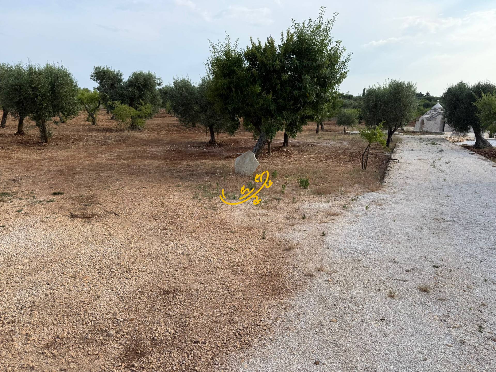 Trullo in vendita a Castellana Grotte