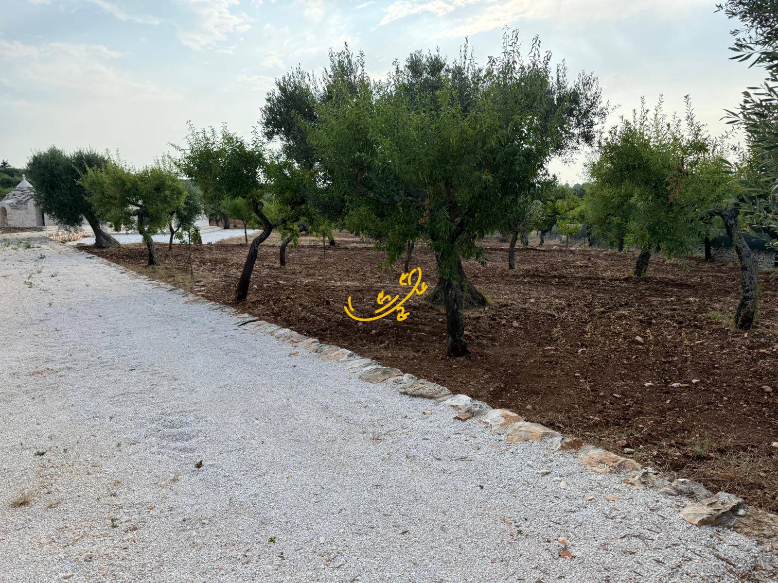 Trullo in vendita a Castellana Grotte