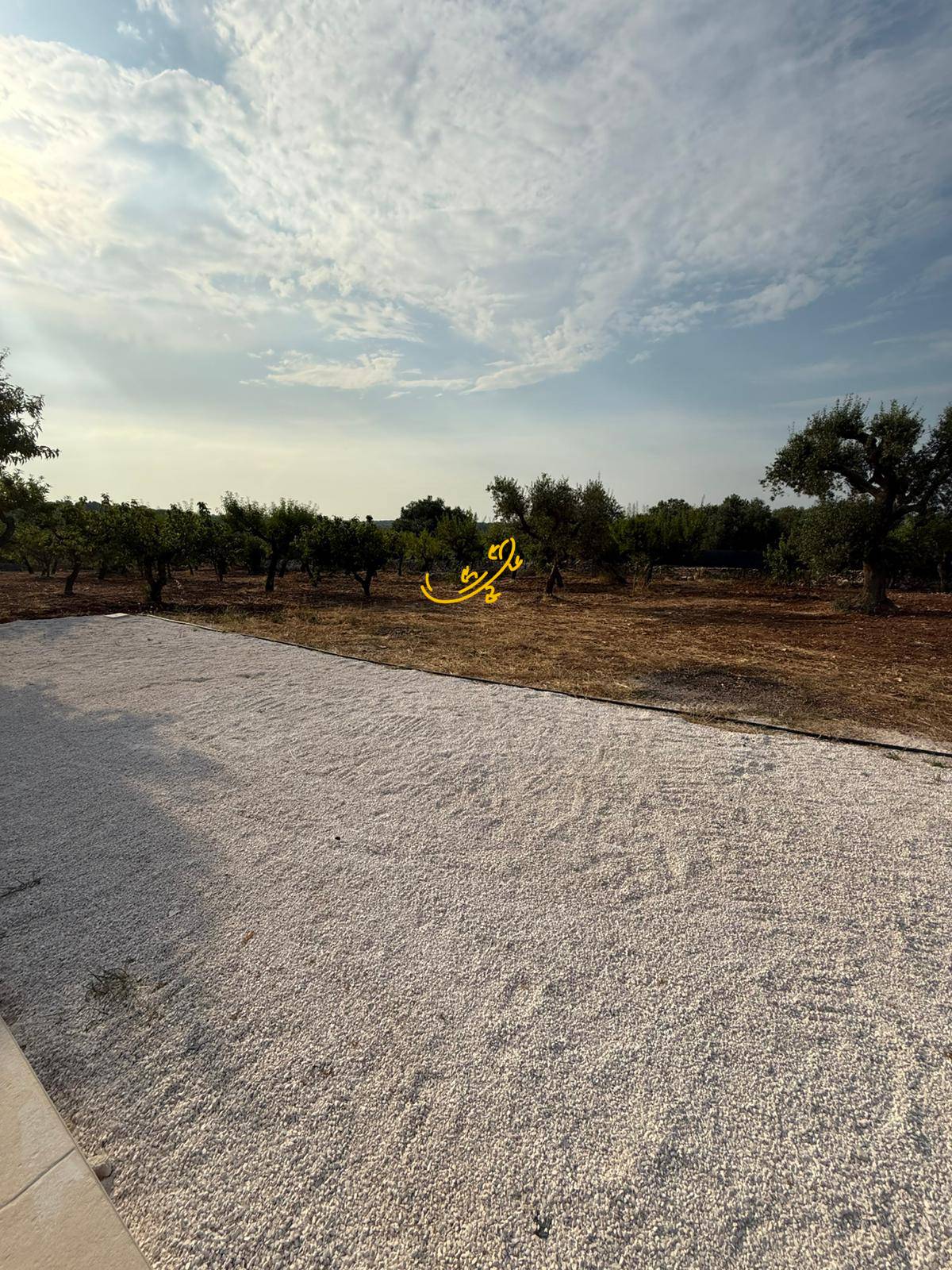 Trullo in vendita a Castellana Grotte