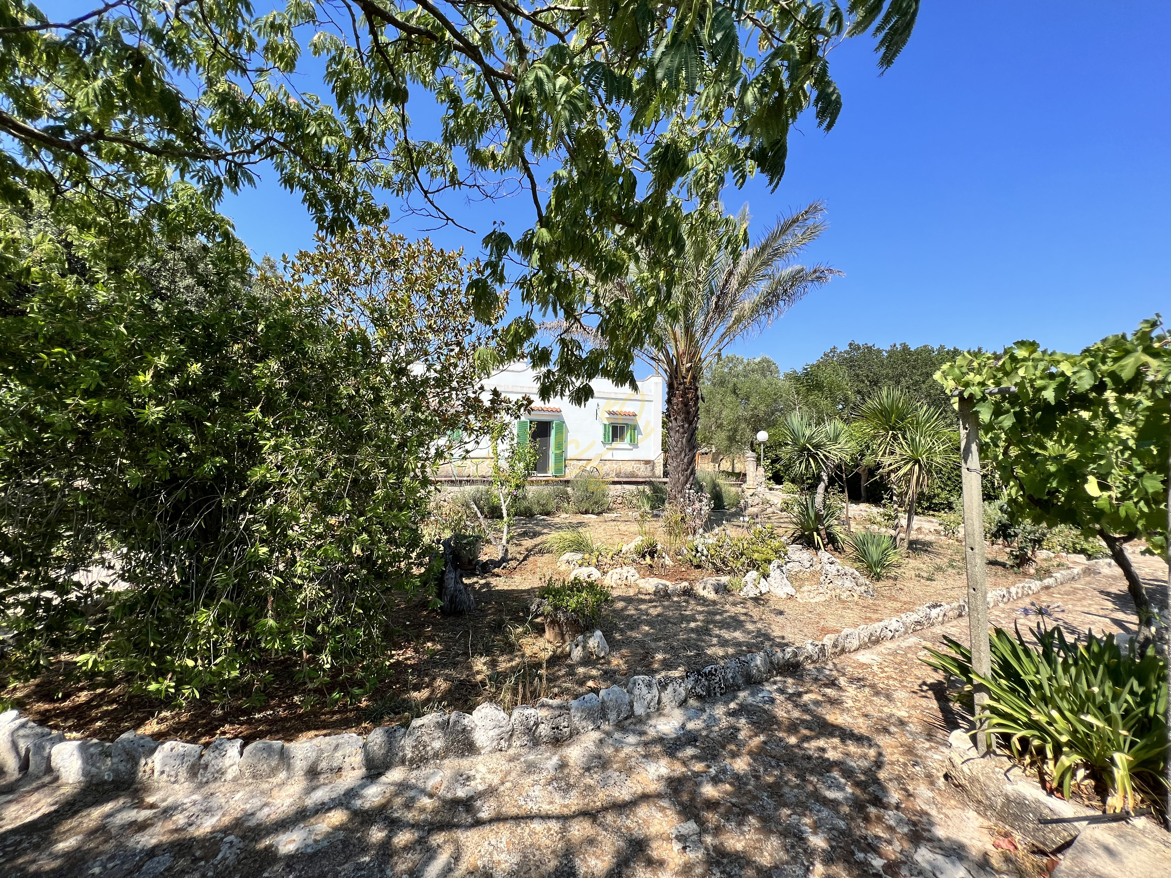 Rustico in vendita a Ceglie Messapica