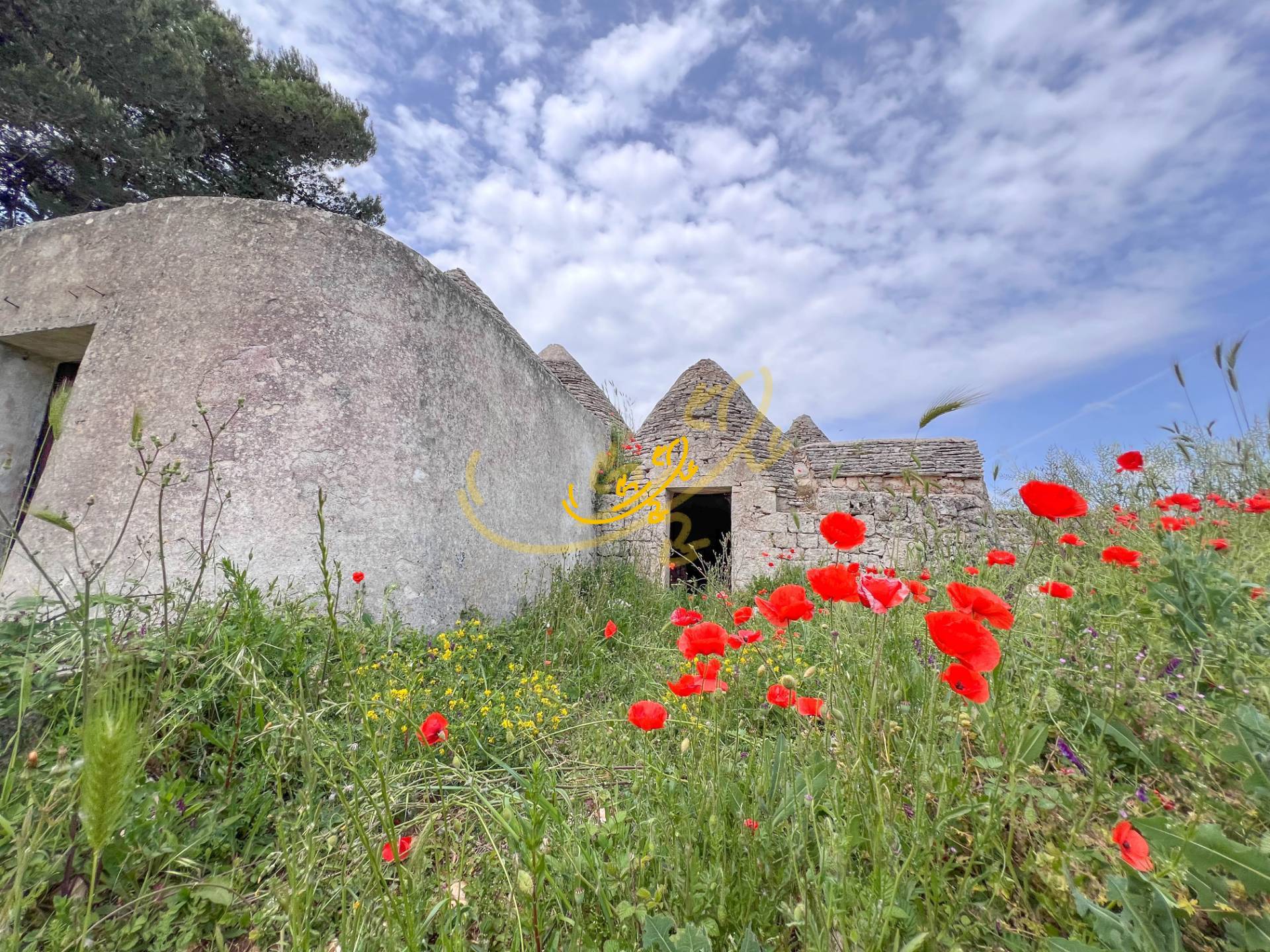 Trullo in vendita a Martina Franca