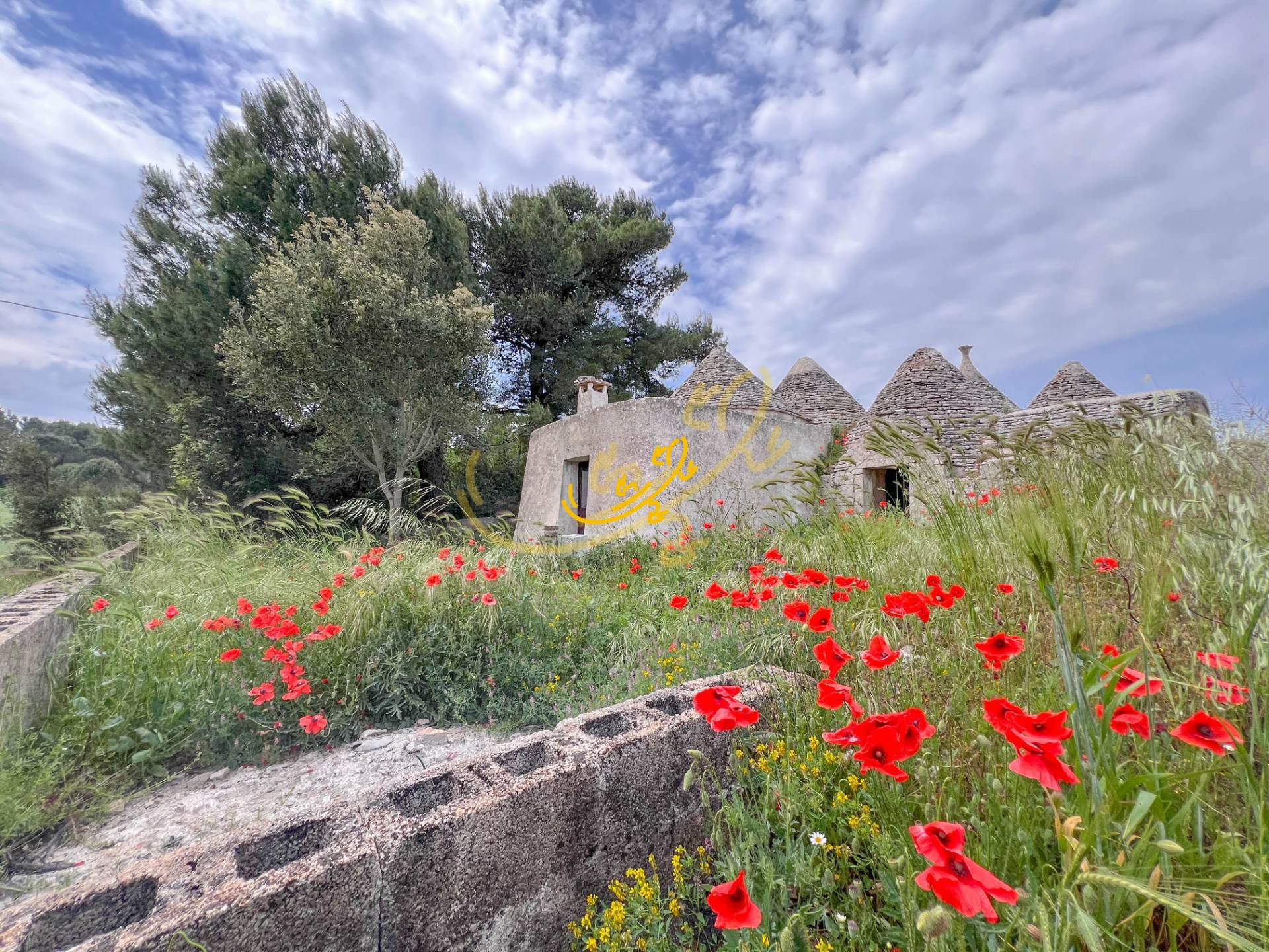 Trullo in vendita a Martina Franca