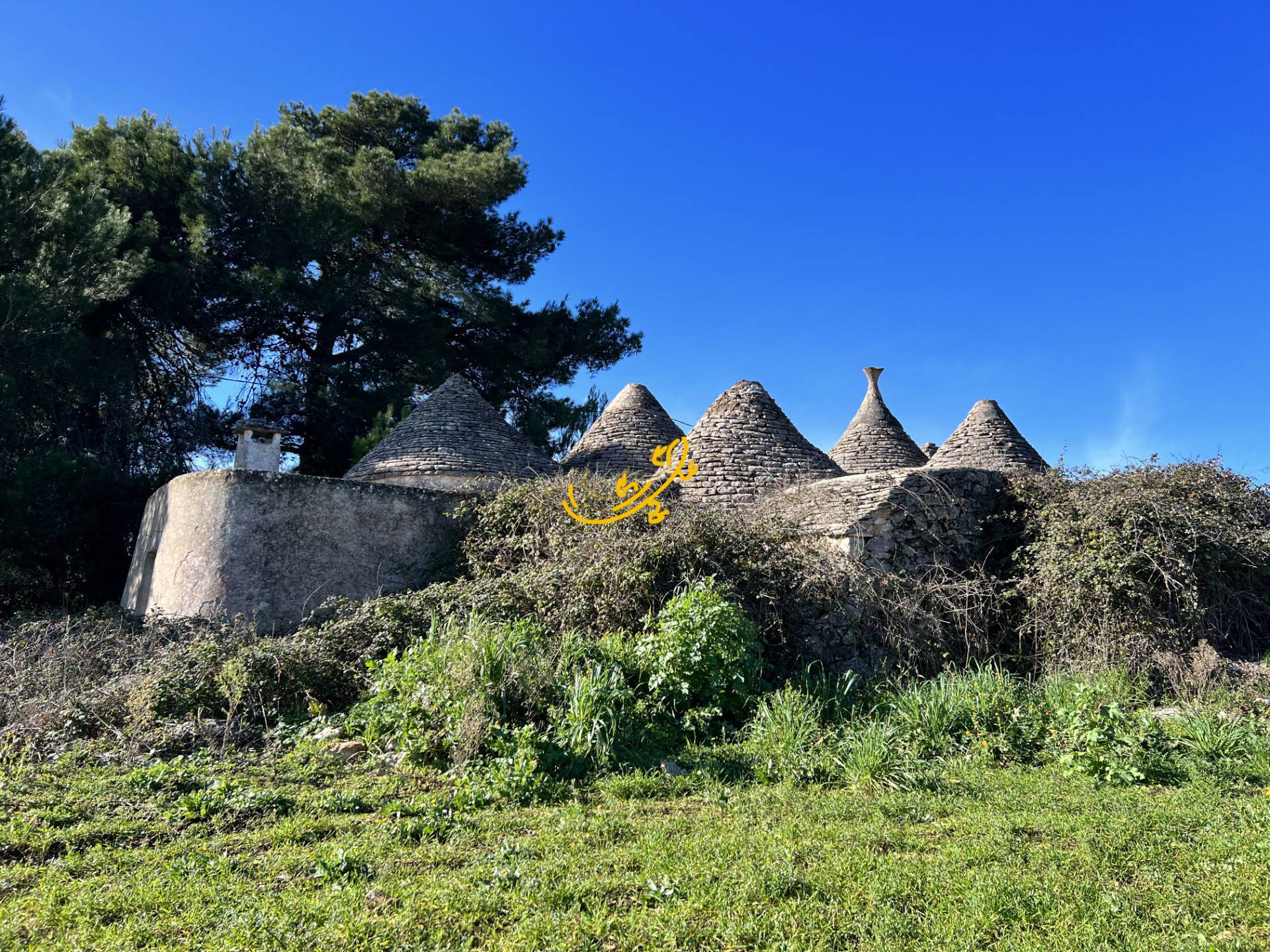Trullo in vendita a Martina Franca