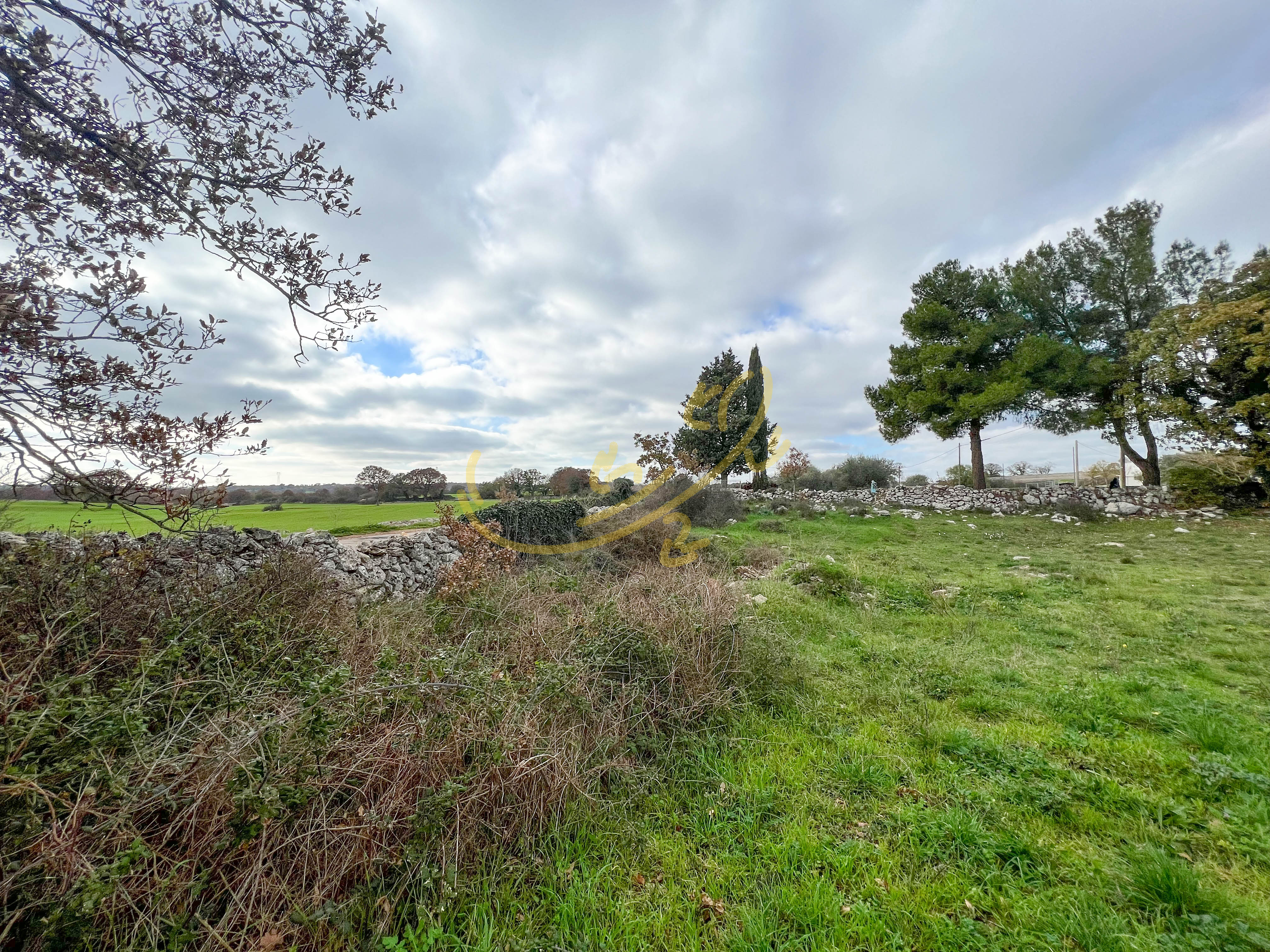 Rustico in vendita a Noci